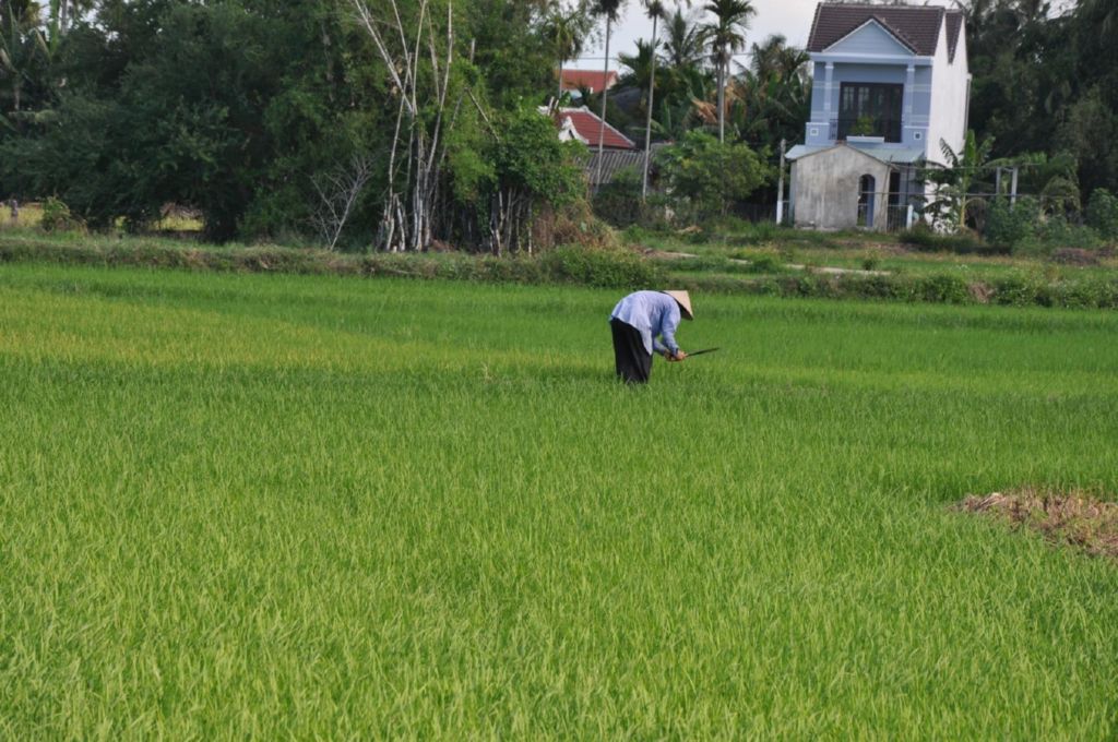 <i><b>Hoi An-060</b></i>